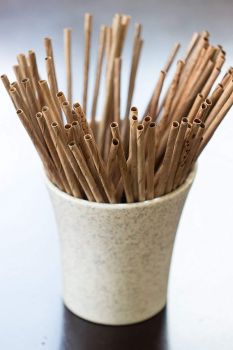 Organic Single Use Disposable Coconut Leave Straws | 8.25 Inch